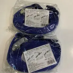 ラッシングベルトカムバックルタイプ 2本セット