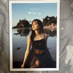 2024年最新】梅澤美波 アザーカット写真集の人気アイテム - メルカリ