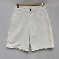DICKIES SHERWIN WILLIAMS PAINTER'S PANTS