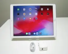 iPadPro12.9 128GB(1st generation)Wi-Fi