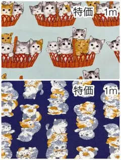 ぽっぽちゃん必ずプロフ読んでください様 リクエスト 2点 まとめ商品