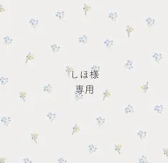 しほ様　専用ෆ