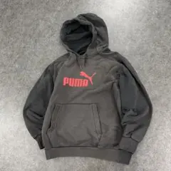 PUMA Sunfade Hoodie プーマ 鬼フェード Used O
