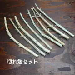 Item thumbnail for item deebe9bc-b6b1-43a9-9779-12e056b3ef34