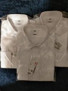 Item thumbnail for item a25c001e-5de3-42fe-a0a5-db3ce231b592