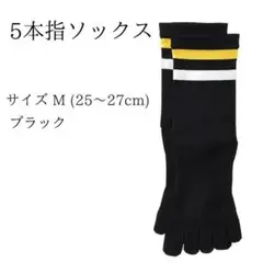 Item thumbnail for item 18e49676-2d34-428b-be1d-cfa061359486