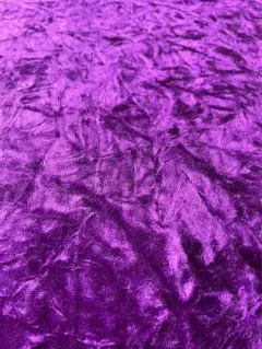 金華山　チンチラ　パープル　kinkazan