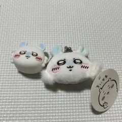 モモンガコインケースセット