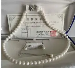 Item thumbnail for item 8bd001b3-b1f4-435b-8b52-b31e30aad027