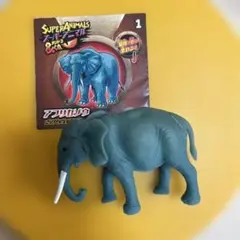 アフリカゾウ　 スーパーアニマルアンドコ