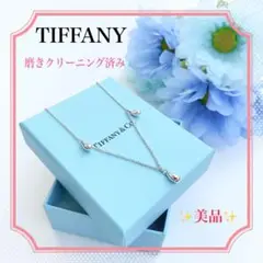 【美品正規品】ティファニー エレサペレッティ ティアドロップ ネックレス