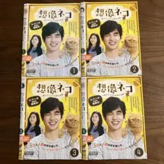 DVD 想像ネコ 全4巻セット / ユ・スンホ復帰作 韓国ドラマ 韓流