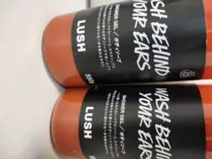 Item thumbnail for item 77156a4b-de5f-4235-bbe9-e26e17a447ac