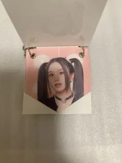 TWICE 365 ランダムミニガーランド　チェヨン