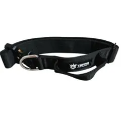 Item thumbnail for item d86d0f04-321c-499f-8563-50084affaac7