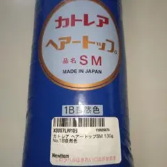 Item thumbnail for item 4aa20b44-9322-405d-98d7-484b5be64fec