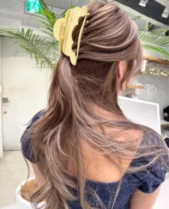 Picky the shop ヘアクリップ　バタフライ shima picky the shop ヘアクリップ - メルカリ
