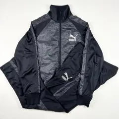 Item thumbnail for item 34425e8e-ecef-47de-b44b-825cd945d8c6