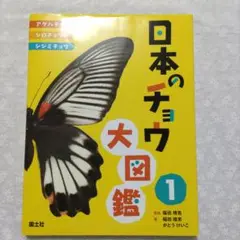 日本のチョウ大図鑑1