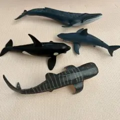 海洋生物フィギュア 4体セット