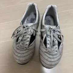 モレリア2 japan