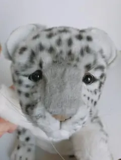 HANSA ユキヒョウ パベット