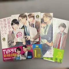 30歳まで童貞だと魔法使いになれるらしい　チェリまほ　1〜4巻セット