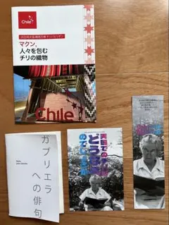 【新品・未使用】大阪関西万博2025 ・￼2023年文化発信マガジン チリの織物