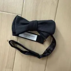 Item thumbnail for item 72a13b8e-82bd-4091-a8b5-eb2a55c4b7ef