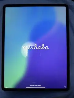 ipad pro 12.9inch 2TB スペースグレイ