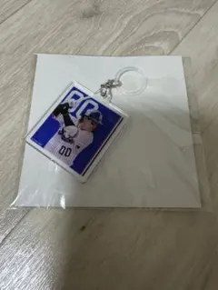 ヤクルトスワローズ Happyくじ 赤羽由紘　アンブレラマーカー