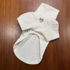 Item thumbnail for item 9981134f-0833-46b4-9200-bbef8df285ed