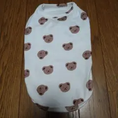 Item thumbnail for item 15f62400-11c2-4d2e-a52e-602ae877967e