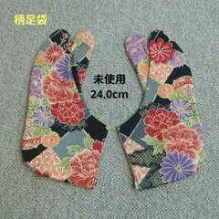 Item thumbnail for item e0a428f2-1037-47cb-84b3-09fc4d697a71