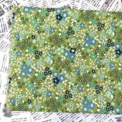 USAコットンシーチング生地 WINDHAM FABRICS 1m SALE