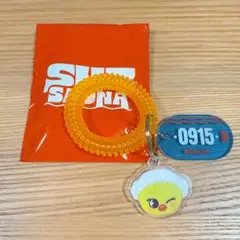 straykids popup ランダムサウナキーリング　ポガリ
