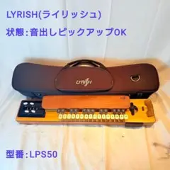 2025年最新】大正琴ライリッシュの人気アイテム - メルカリ