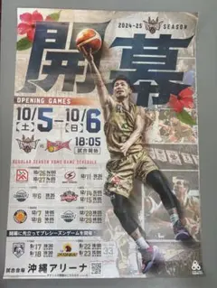 琉球ゴールデンキングス ポスター 2枚セット　レア　Bリーグ　希少品 Amazon.co.jp: 琉球ゴールデンキングス ポスター Bリーグ ホビー