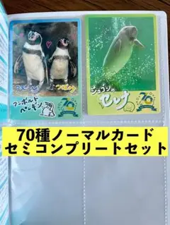 鳥羽水族館70周年記念コレクションカード　ノーマル　70種セミコンプリートセット