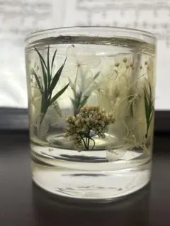 ボタニカル　ジェルキャンドルホルダー
