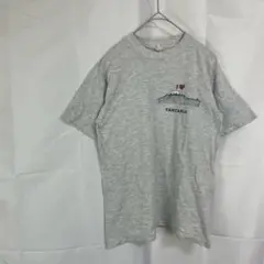半袖Tシャツ◇グレー　タンザニア　山プリント　観光デザイン　春夏服　薄手　普段着