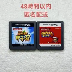 熱闘！パワフル甲子園 + パワプロクンポケット9