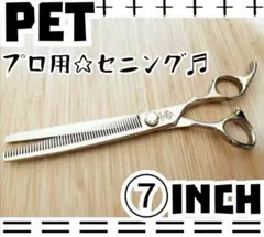 Item thumbnail for item 72b5aed0-6a08-499f-8e97-9e52e8779c74