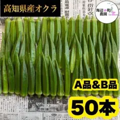 夏野菜【高知県産オクラ】A品u0026B品 50本 新鮮おくら産地直送 即購入OKです