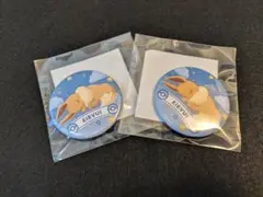 【2個セット】ポケモンスリープ 缶バッジ イーブイ 渋谷 ポケスリ 限定品