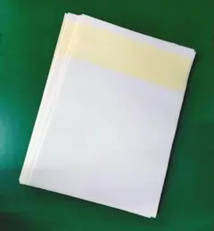 Item thumbnail for item 2847413c-e80b-4c08-a237-f5021eac9662