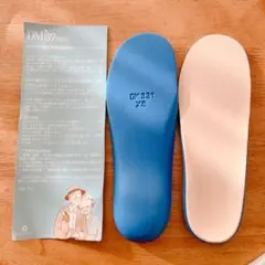 中高齢者専用機能性 インソール 靴底　XS 24センチ　中敷