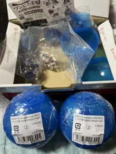 ワンピの実グランドカプセル