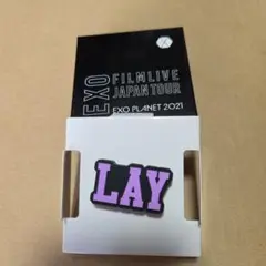 EXO FILM LIVE 2021 ペンライトアクセサリーディオD.O.の通販 by