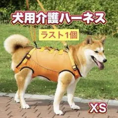 Item thumbnail for item b24cf82e-eb4d-4950-a351-d165ec7b1ba9